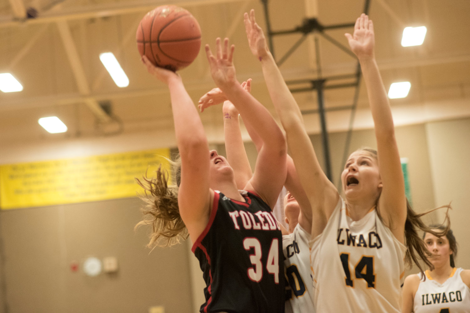 Toledo's Stacie Spahr goes up for two points in the paint against Ilwaco on Thursday. (Eric Trent / etrent@chronline.com)