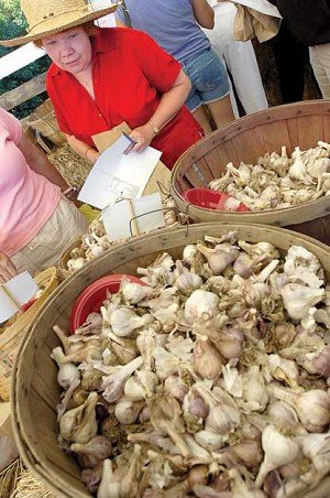 The Centralia Farmers Market will host vendors from the Garlic Fest on Friday after the popular event was canceled.