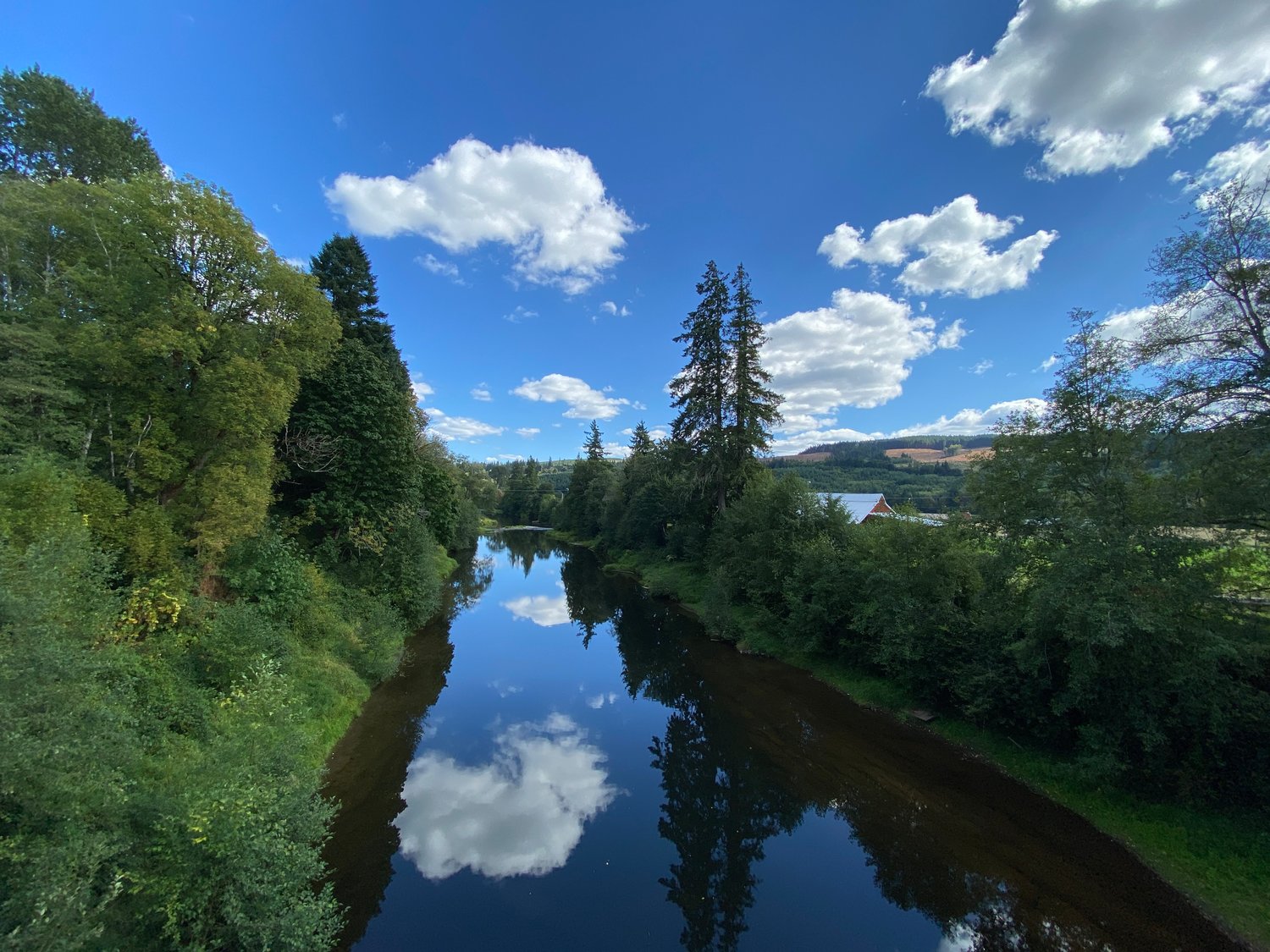 The mirror-like Chehalis River reflects the summer sky on the Willapa Hills Trail at Bridge 16 near Dryad. The bridge was rebuilt in 2015 with Federal Emergency Management Agency funds, replacing a span destroyed in the 2007 flood. 