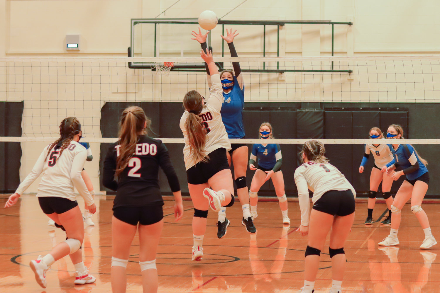 Adna's Ryann Wilson (14) jumps up for the ball during a game in Toledo on Tuesday.