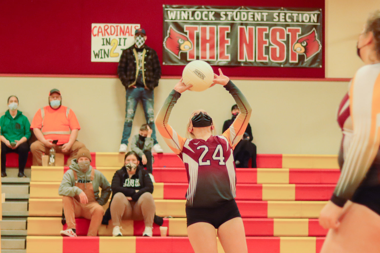 Cardinal's Kaitlynn Mitchell (24) sets the ball during a volleyball game in Winlock on Tuesday.
