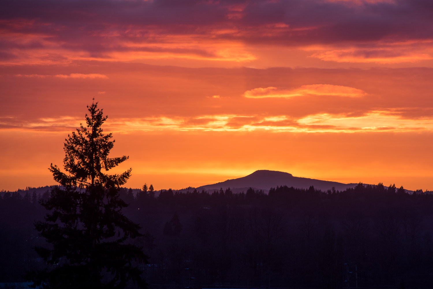 The sun sets over the Willapa Hills.