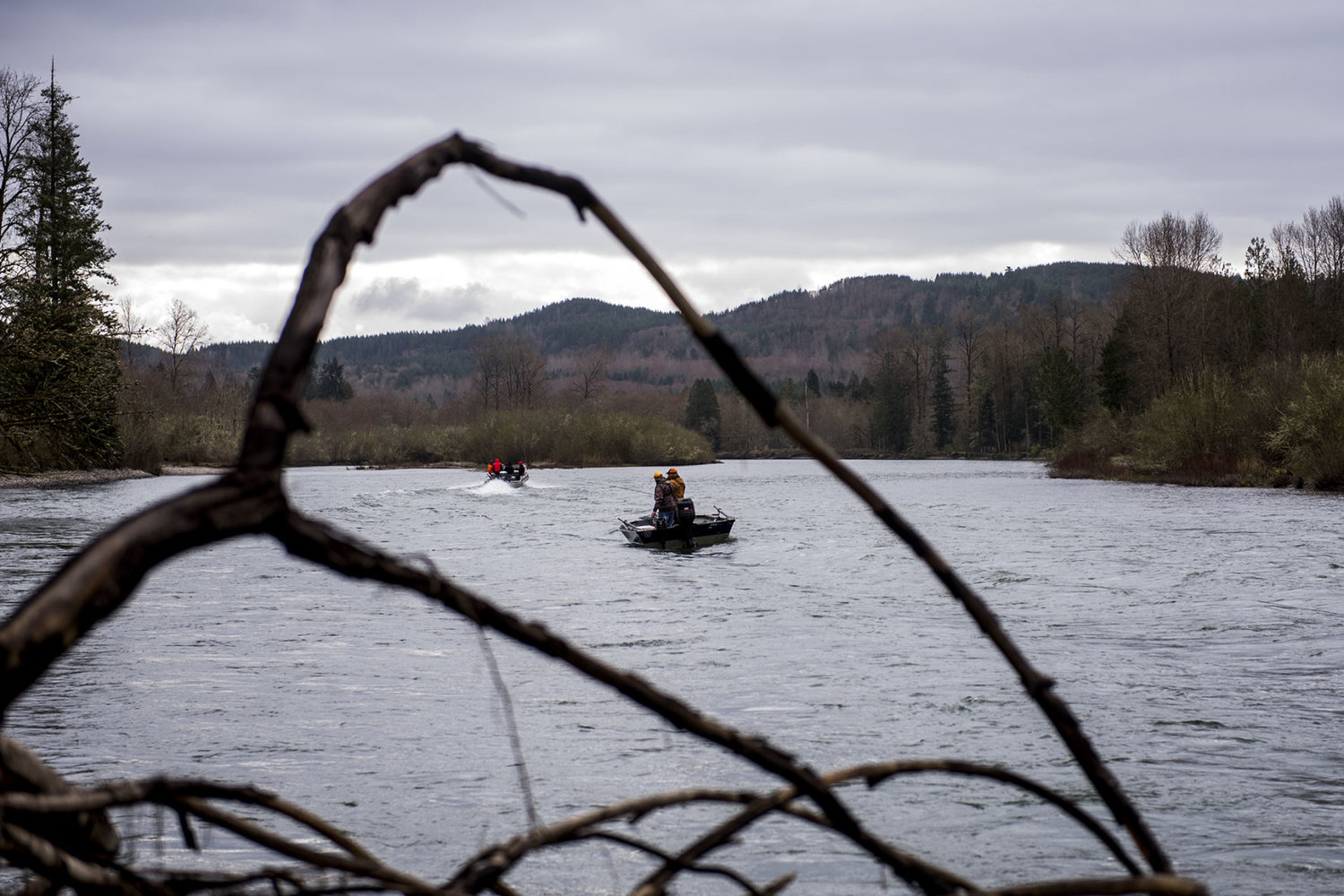 Boat anglers drift downriver from Blue Creek on the Cowlitz River in March 2018. 