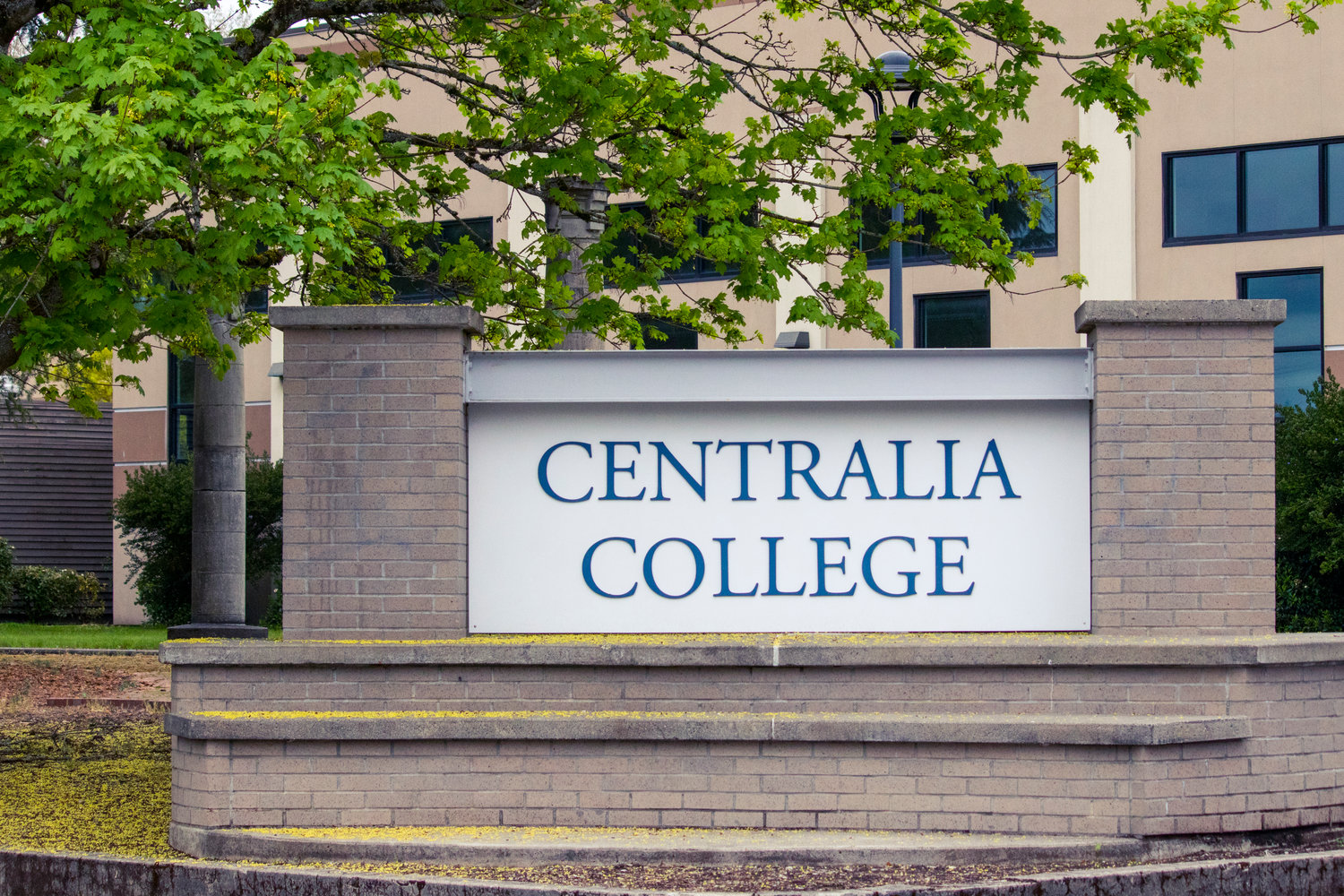 Pollen and tree debris collect on a Centralia College sign in this 2021 Chronicle file photo.