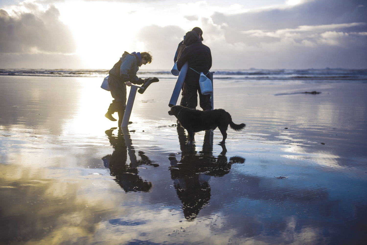 Washington Department of Fish and Wildlife (WDFW) shellfish managers on Wednesday confirmed razor clam digging reopens at Copalis Beach on Friday, Feb. 3, followed by additional opportunities on Feb. 5 and Feb. 7.