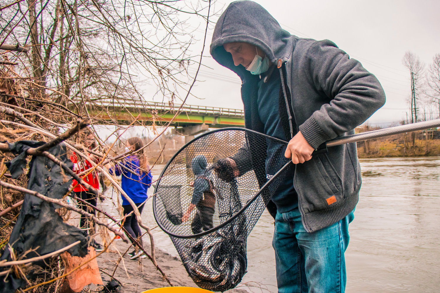 Nets full of fish are carried to buckets during a smelt dip along the Cowlitz River in Castle Rock on Tuesday.