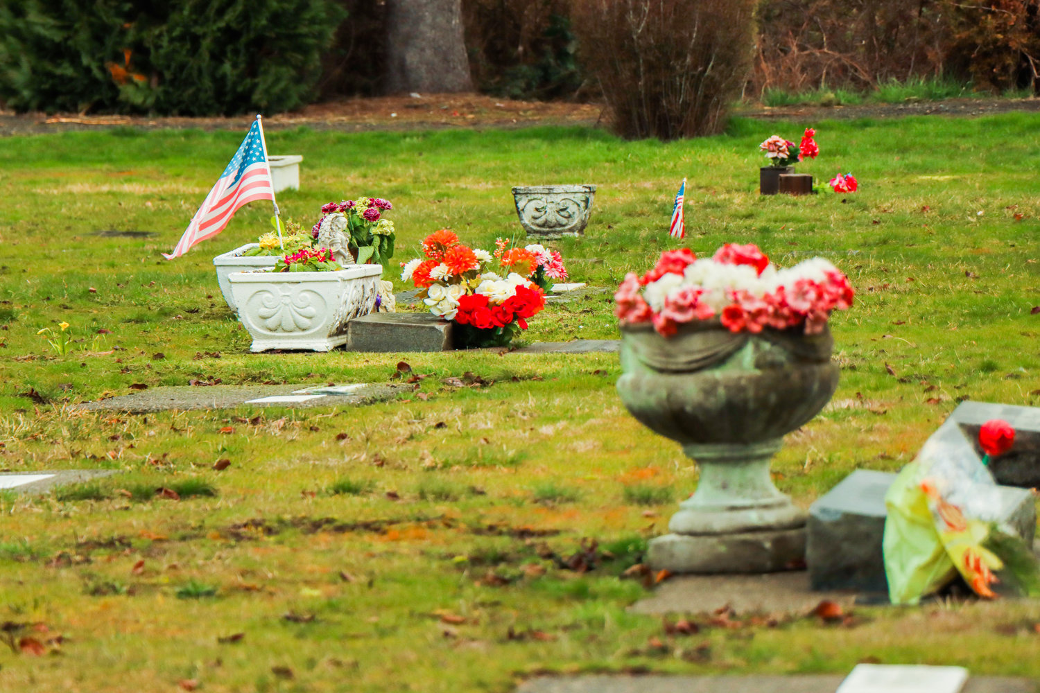A flag waves near a gravesite inside the Greenwood Memorial Cemetery in Centralia on Friday.