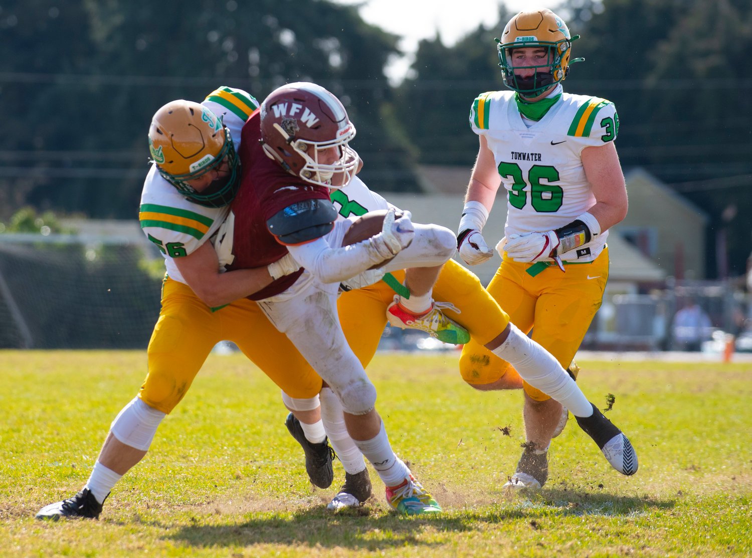 W.F. West's Cade Haller gets brought down by a Tumwater defensive lineman on Saturday.