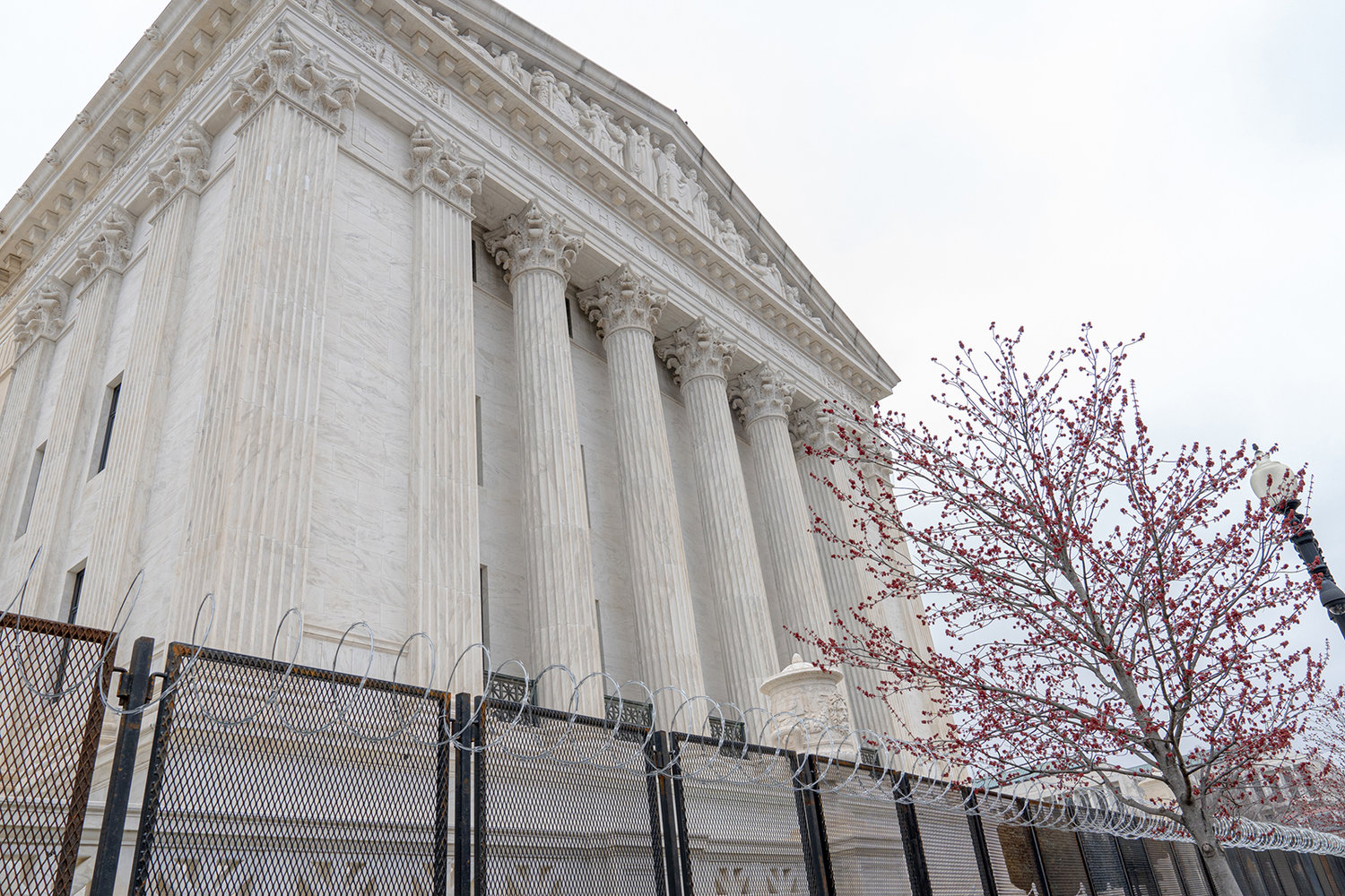 A tree blooms around a barbed wire fence behind U.S. Supreme Court Building on March 17, 2021, in Washington, D.C. (Mihoko Owada/Sipa USA/TNS)