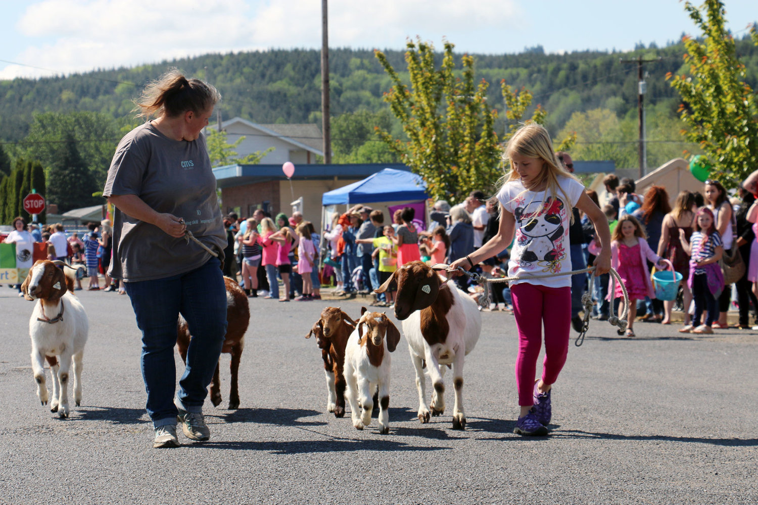 May Day Parade participants escort goats down A Street in Vader in 2015.