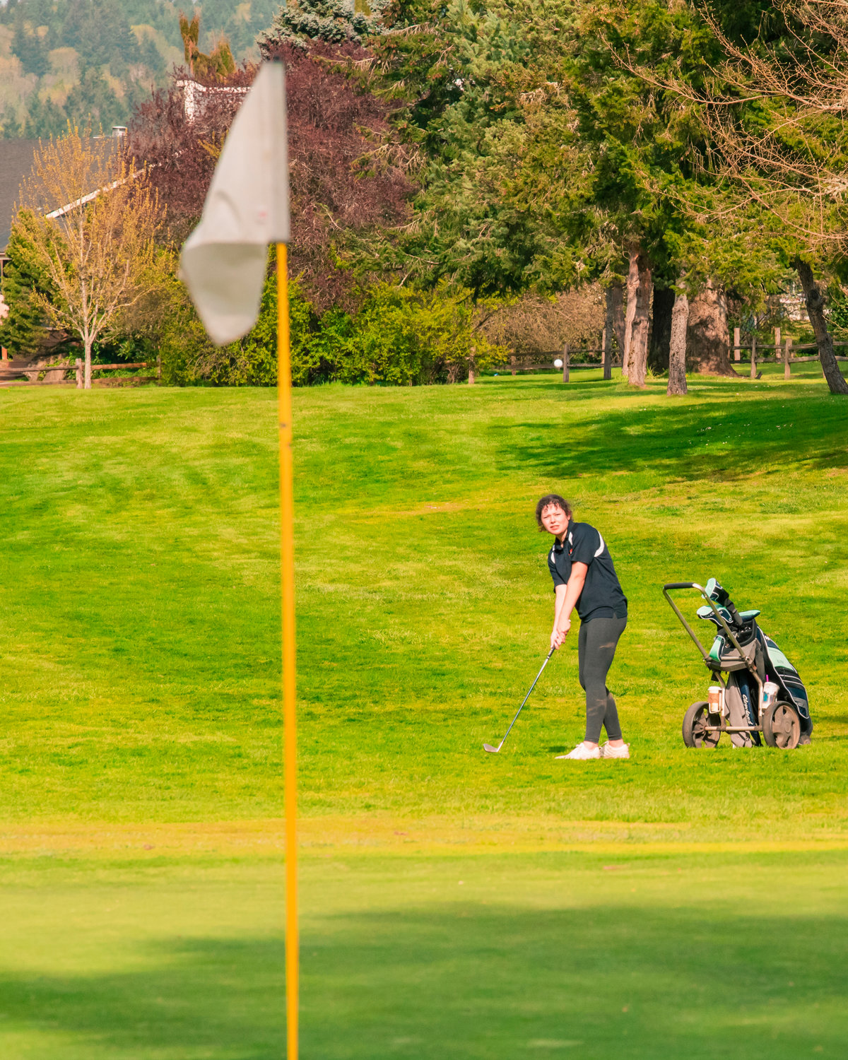 Mazzi Nowicki hits the ball towards the hole while playing at Riverside Golf Course in Chehalis.