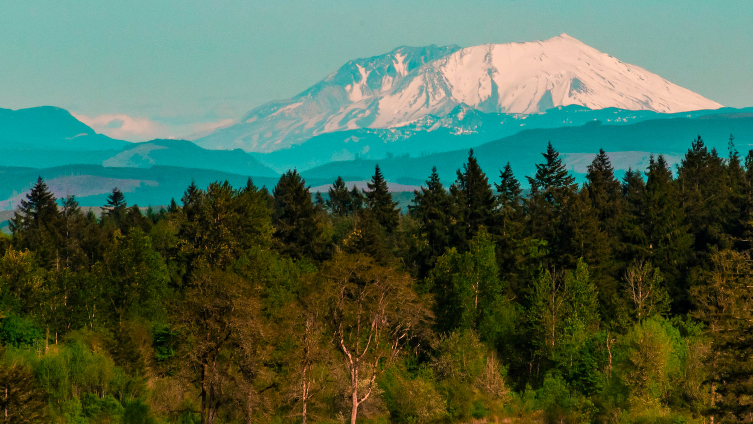 Mount St. Helens is seen on a sunny afternoon from Winlock.