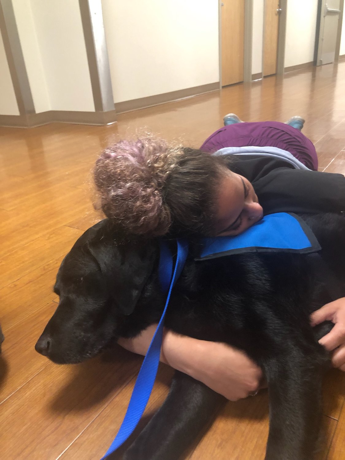 Oak, the nearly 9-year-old black lab who worked as a therapy dog at both the Lewis County Law and Justice Center and Providence Centralia Hospital, helped hundreds of people.