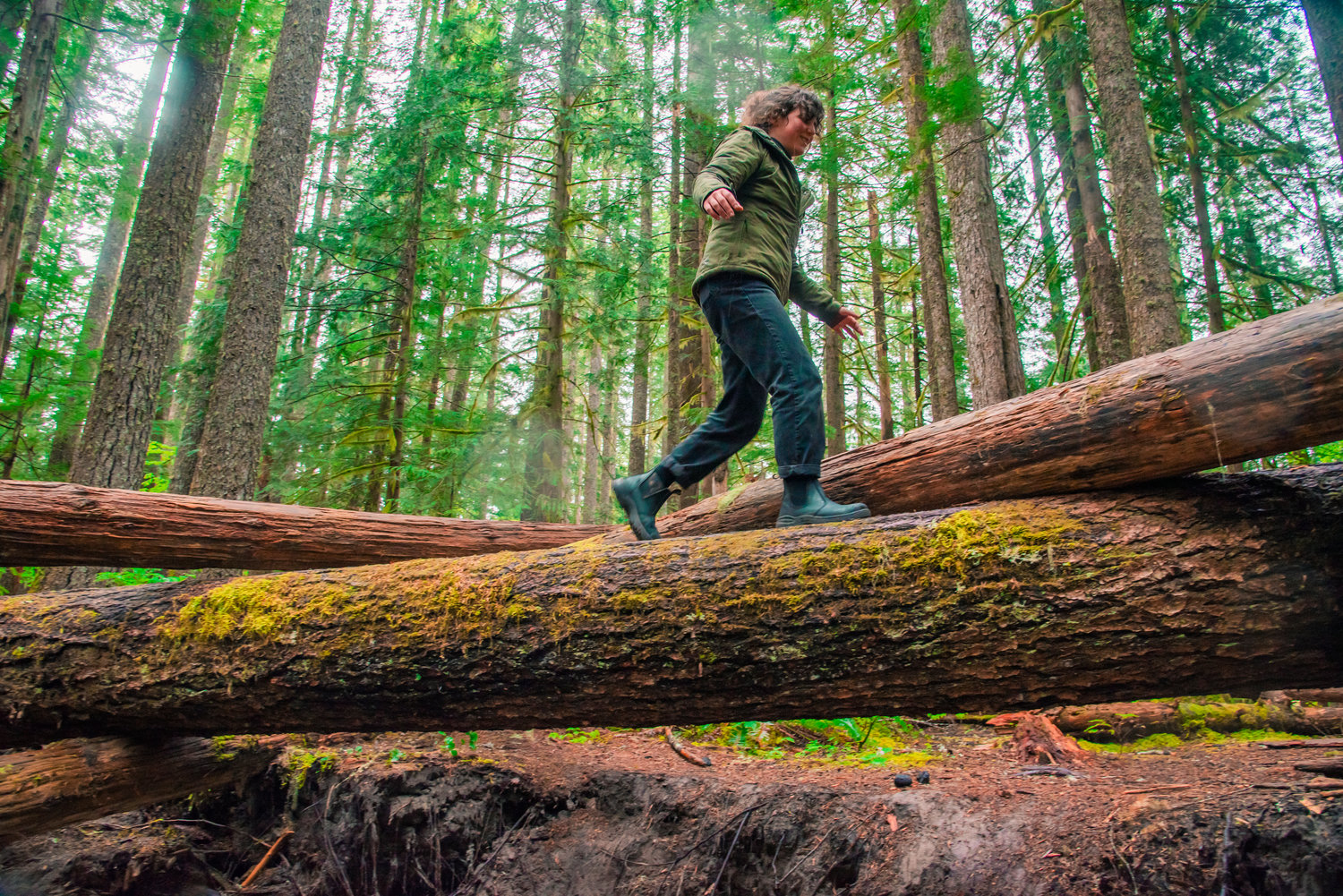 Chronicle reporter Claudia Yaw walks along fallen trees last week at the Trail of Two Forests.