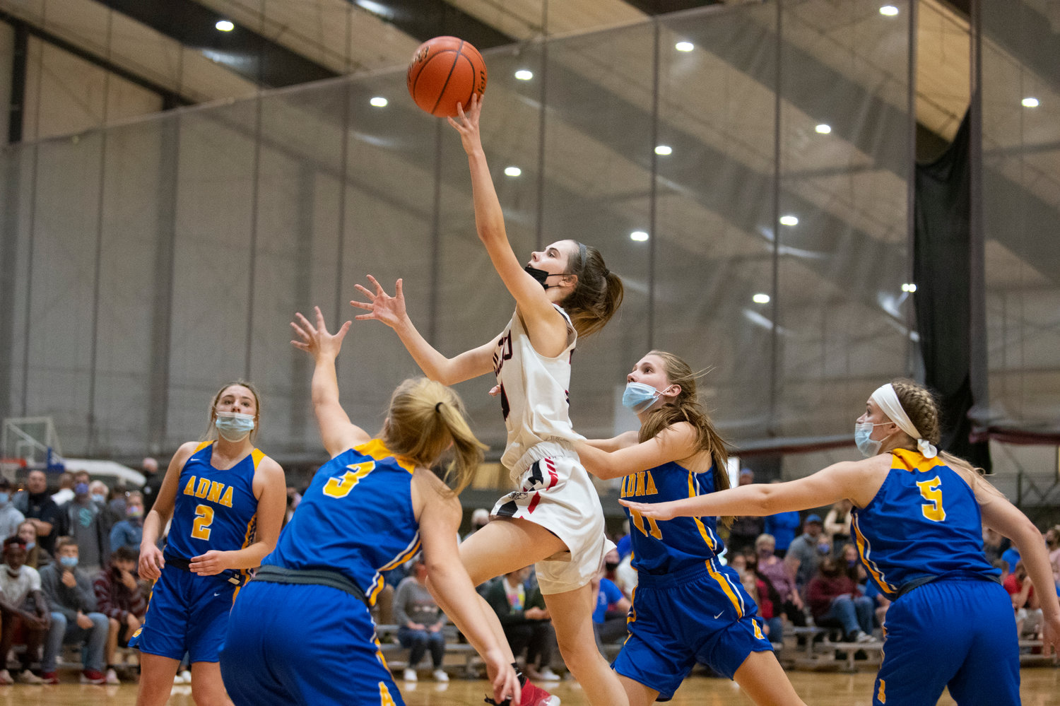 Toledo junior Marina Smith drives to the hoops against Adna in the district semifinals on Wednesday.