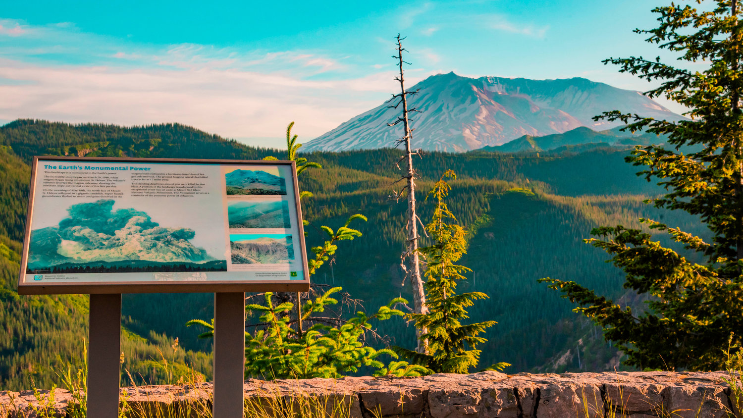 A viewpoint provides information on the Mount St. Helens eruption.