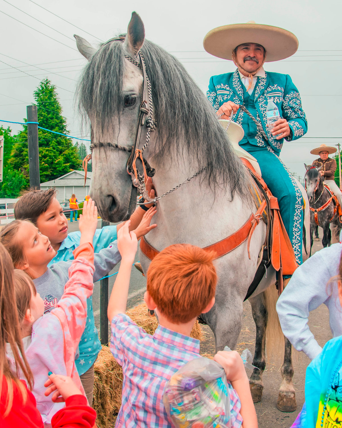 A rider keeps his horse still as kids reach up for pets following a parade for the Mossyrock Freedom Festival on Saturday.