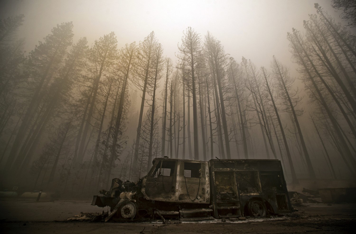 Burned trees rise above a truck destroyed by the Dixie Fire in the town of Greenville. (Mel Melcon/Los Angeles Times/TNS)