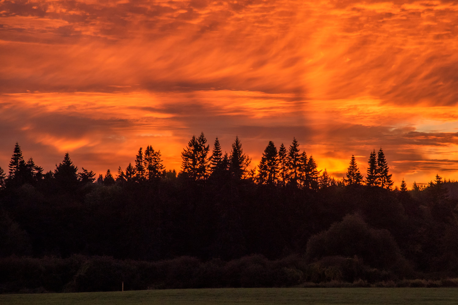 Before rain returned to the forecast on Sunday night, Southwest Washington residents were treated to a dazzling sunset on Friday. This photograph was taken in Grand Mound.