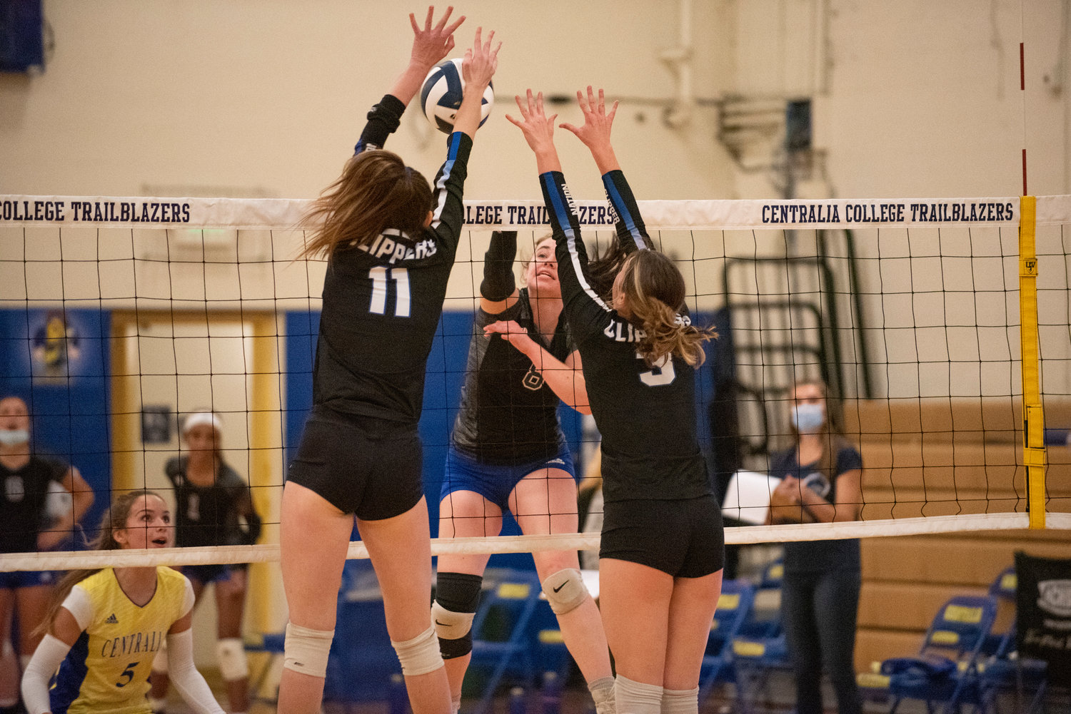 Centralia College's Jordyn Burks (8) leaps for a spike against two South Puget Sound blockers on Wednesday.