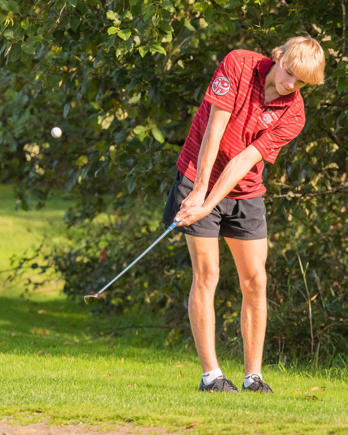 W.F. West’s Dirk Plakinger hits a golf ball up at the Newaukum Valley Golf Course in Chehalis on Monday.