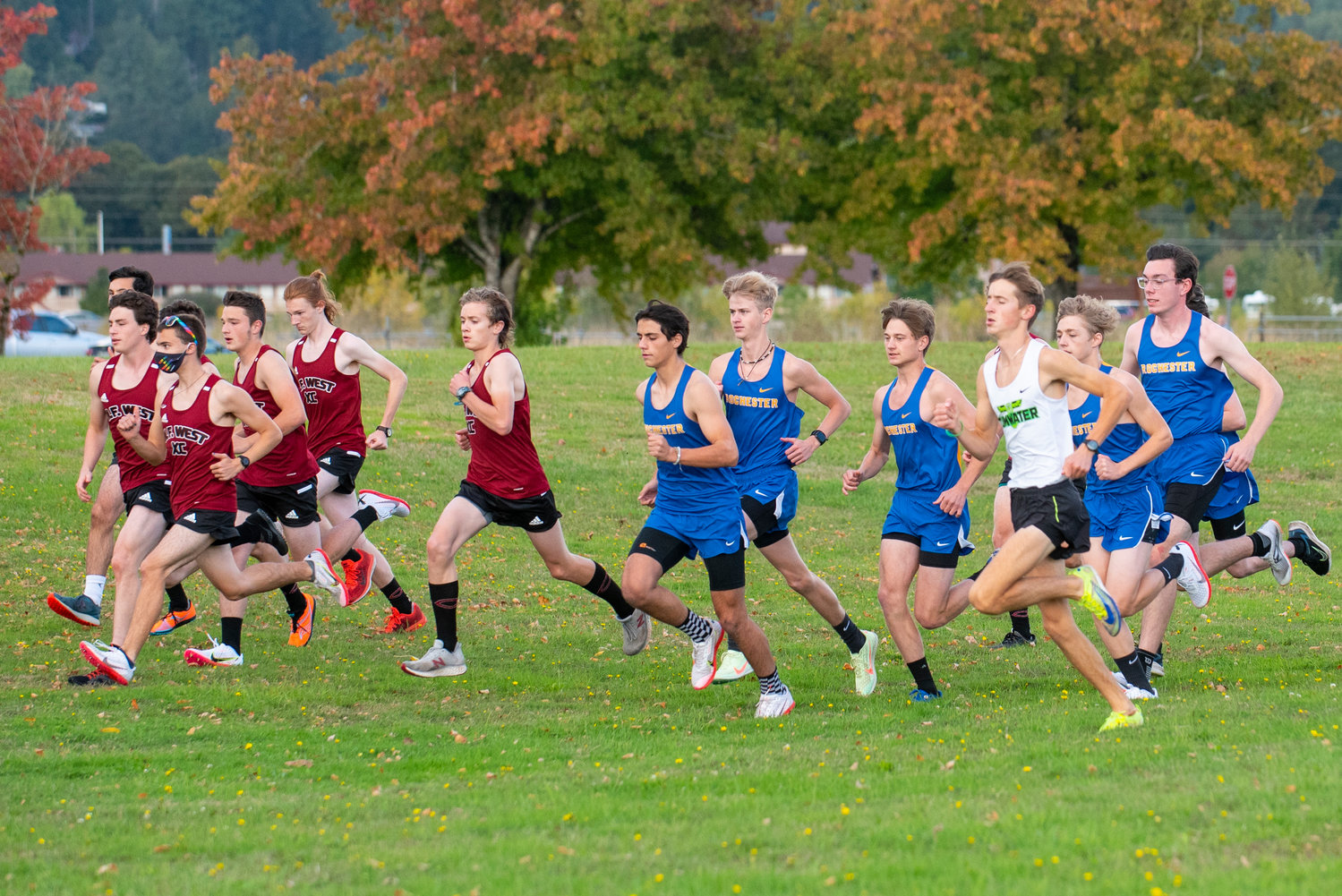 Runners from W.F. West, Rochester and Tumwater take off from the starting line at a meet in Stan Hedwall Park on Wednesday, Oct. 6, 2021.