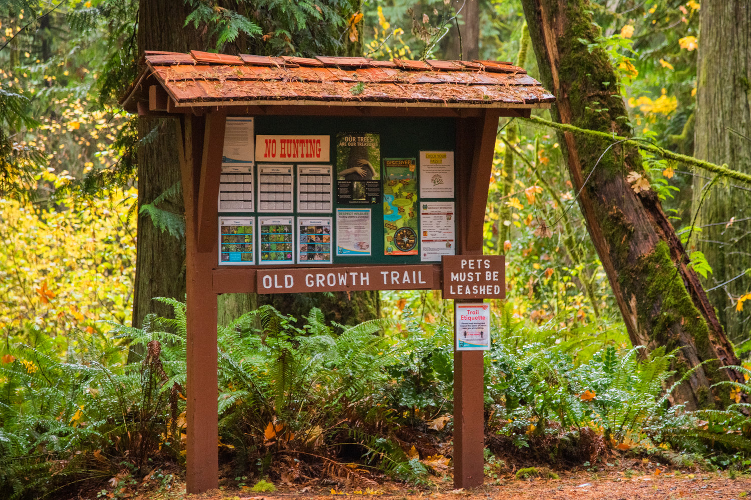 A sign for the Old Growth Trail sits on display Thursday morning Lewis and Clark State Park.