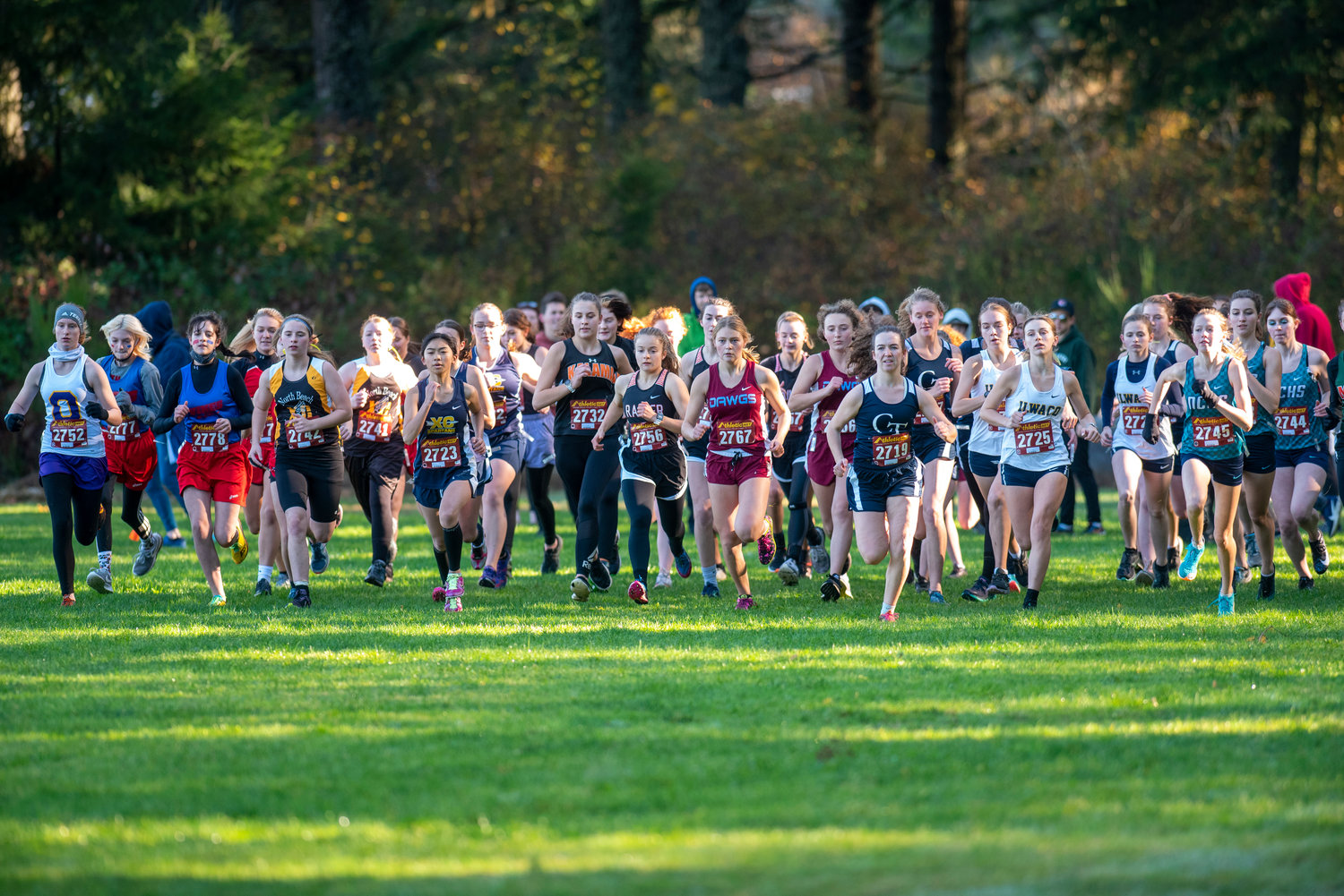 Runners take off from the starting line at the 2B District 4 girls cross country meet Saturday in Rainier.