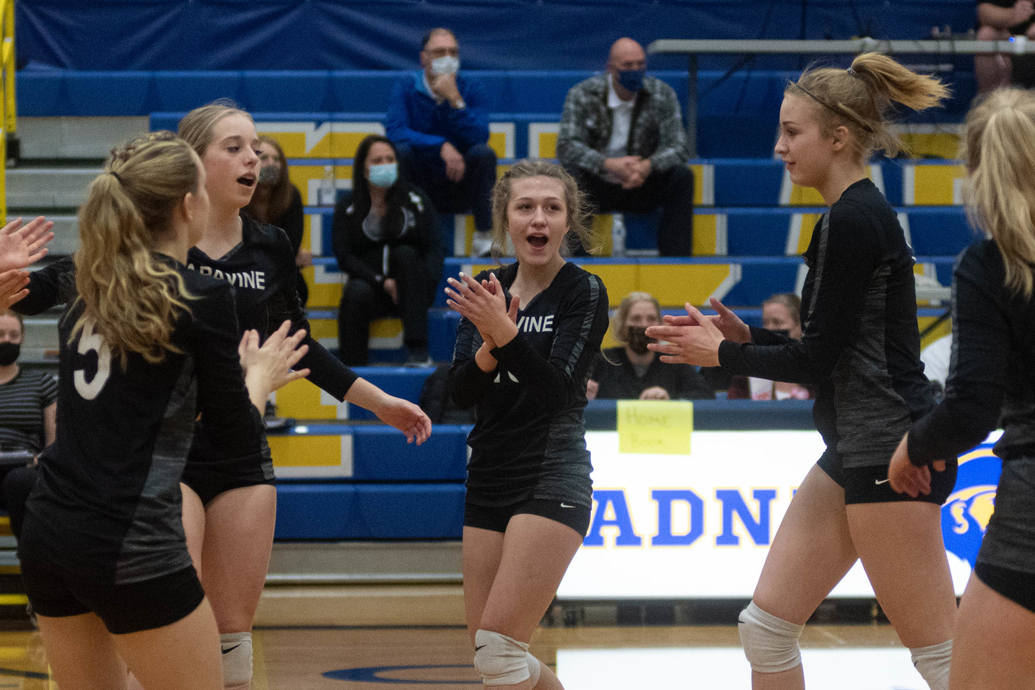 The Napavine volleyball team celebrates a point against Ilwaco in the second round of the District 4 Tournament in Adna Oct. 30.