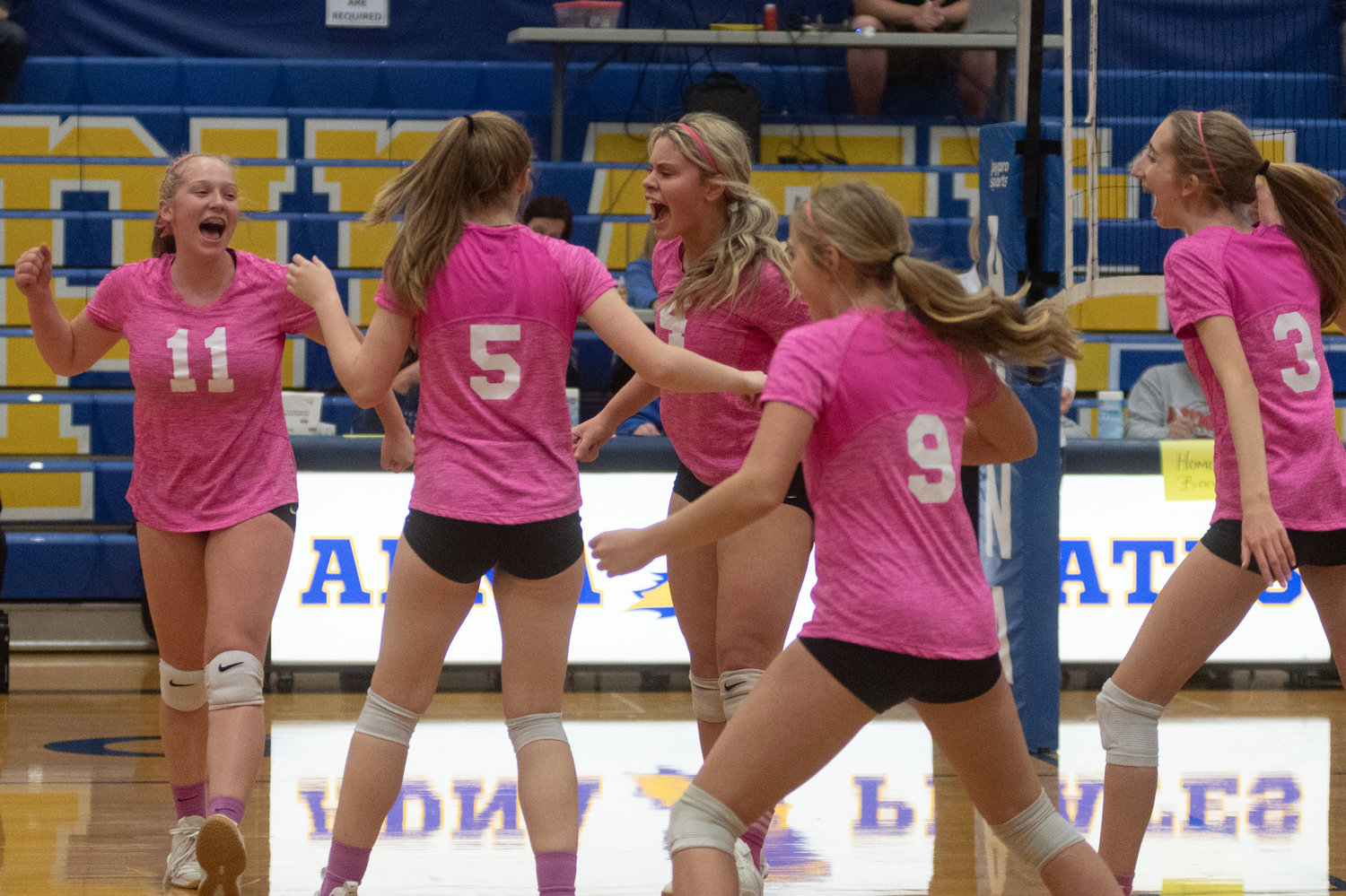 The Adna volleyball team celebrates a point against Raymond in the District 4 semifinals Nov. 3.