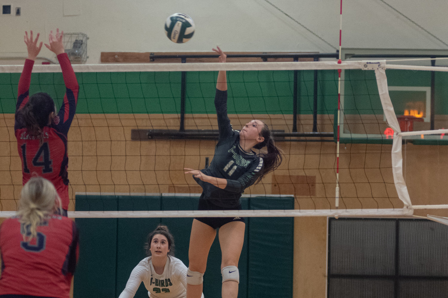 Tumwater outside hitter Kira Turcotte goes up for a kill against Black Hills in the district playoffs Nov. 13.