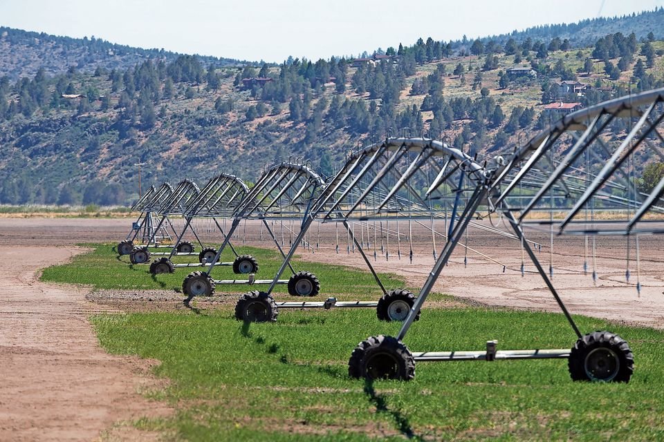 Some green growth appears below irrigation equipment in an otherwise dry field in Klamath Falls this past summer. At the time, the Klamath River Basin snowpack stood at just 17% of normal. (Photo: Dave Killen/The Oregonian)