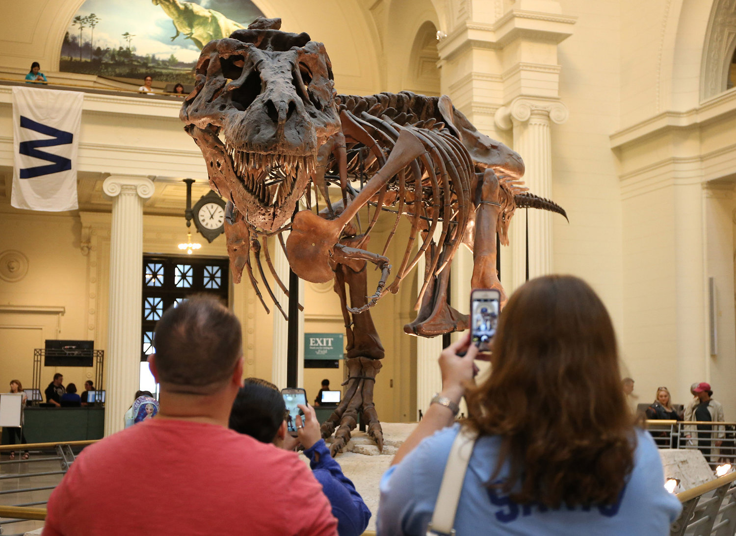 Sue the T. rex strikes a pose in its old location at the Field Museum in Chicago, Illinois. (Antonio Perez /Chicago Tribune/TNS)