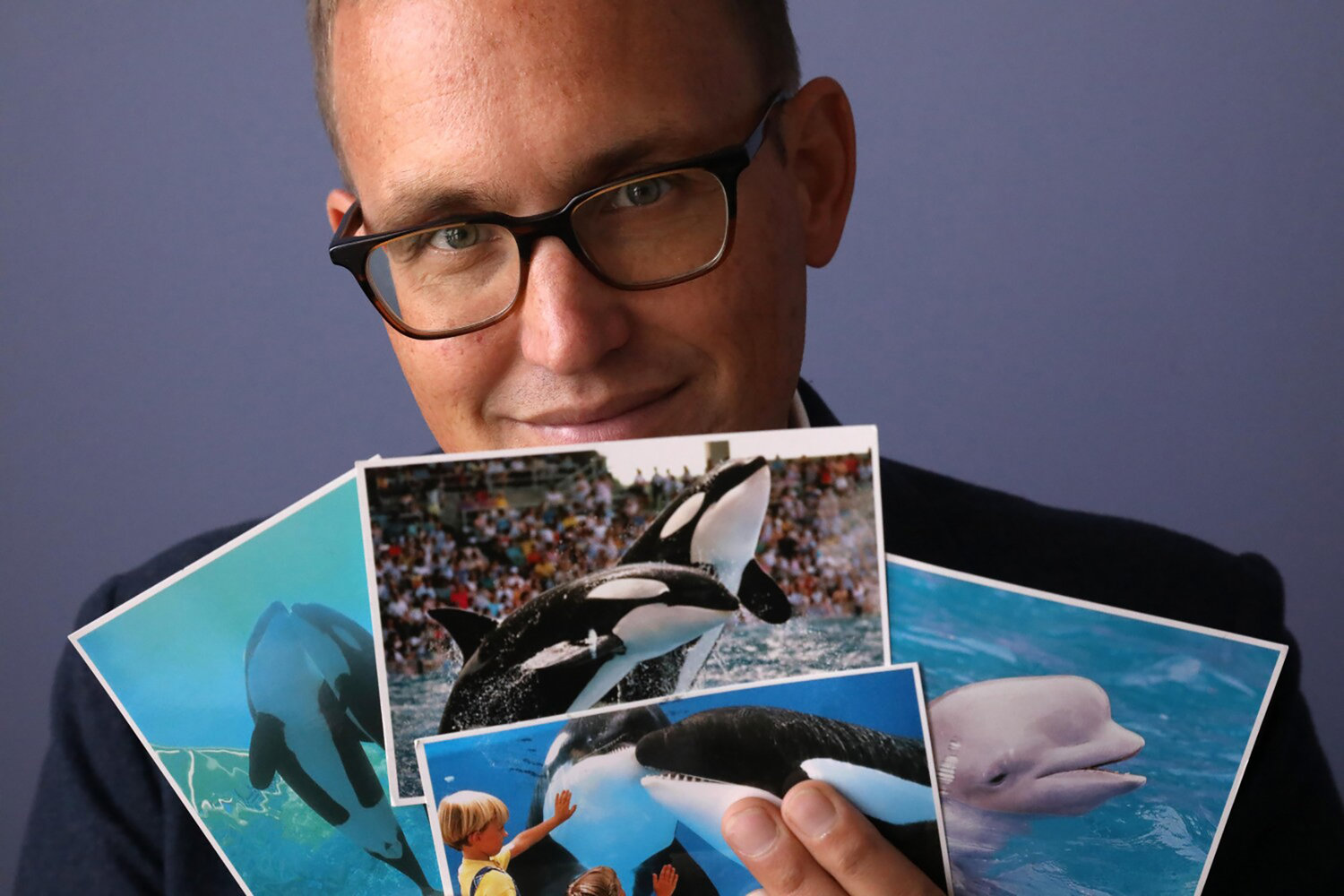 Matthew Strugar, an animal and civil rights attorney who sued SeaWorld several years ago over captive orcas, shows some of the many mysterious postcards he later received. (Genaro Molina/Los Angeles Times/TNS)