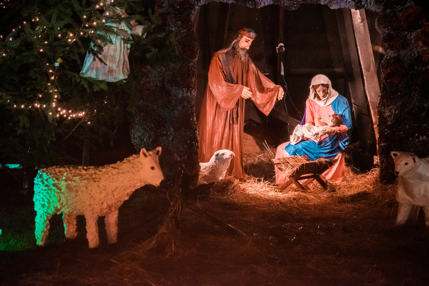 A nativity scene sits illuminated at the center of the Christmas Island Saturday in Maytown.
