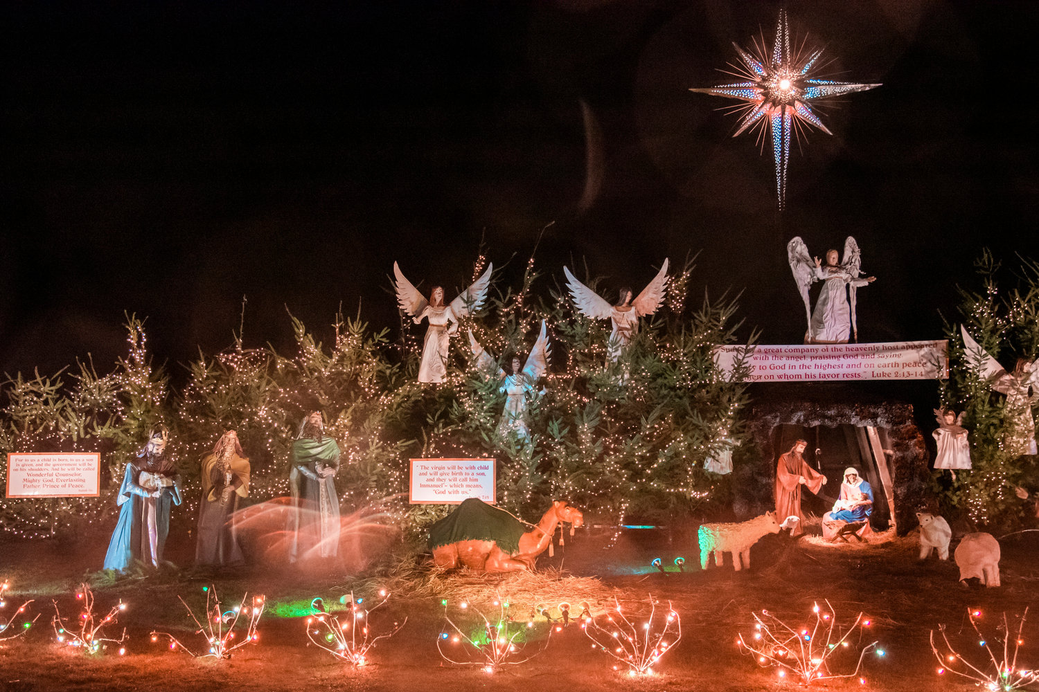 Lights illuminate sculptures and scriptures during the Christmas Island Lighting Ceremony in Maytown Saturday night.
