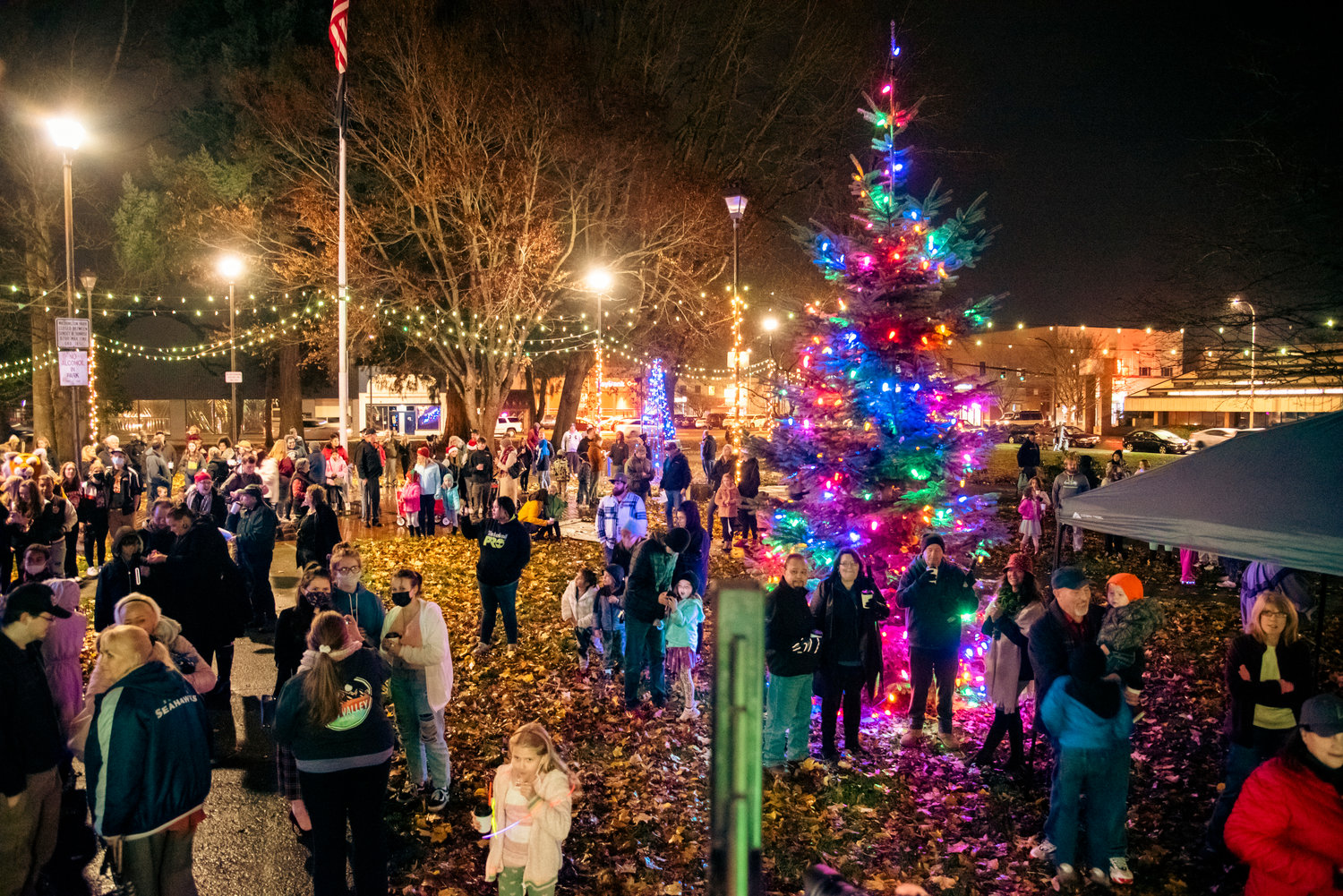 Lights illuminate George Washington Park during a Christmas tree lighting ceremony in Centralia Friday night.