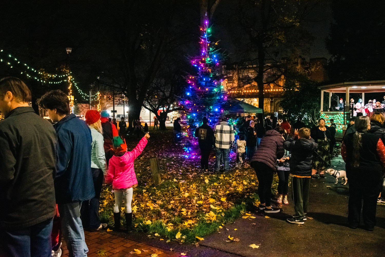 Bells ring and music is played as lights illuminate a Christmas tree and George Washington Park Friday night in Centralia.