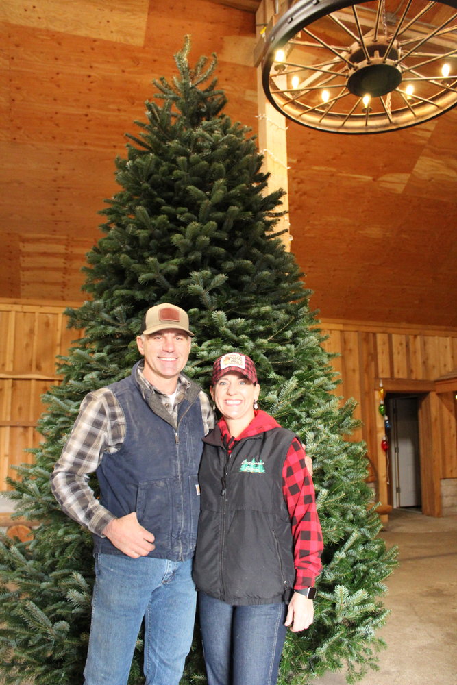 Pat and Missy Murphy, owners of Mistletoe Tree Farm, have been growing wholesale Christmas trees since 1999 and opened their farm for u-cut about 15 years ago.