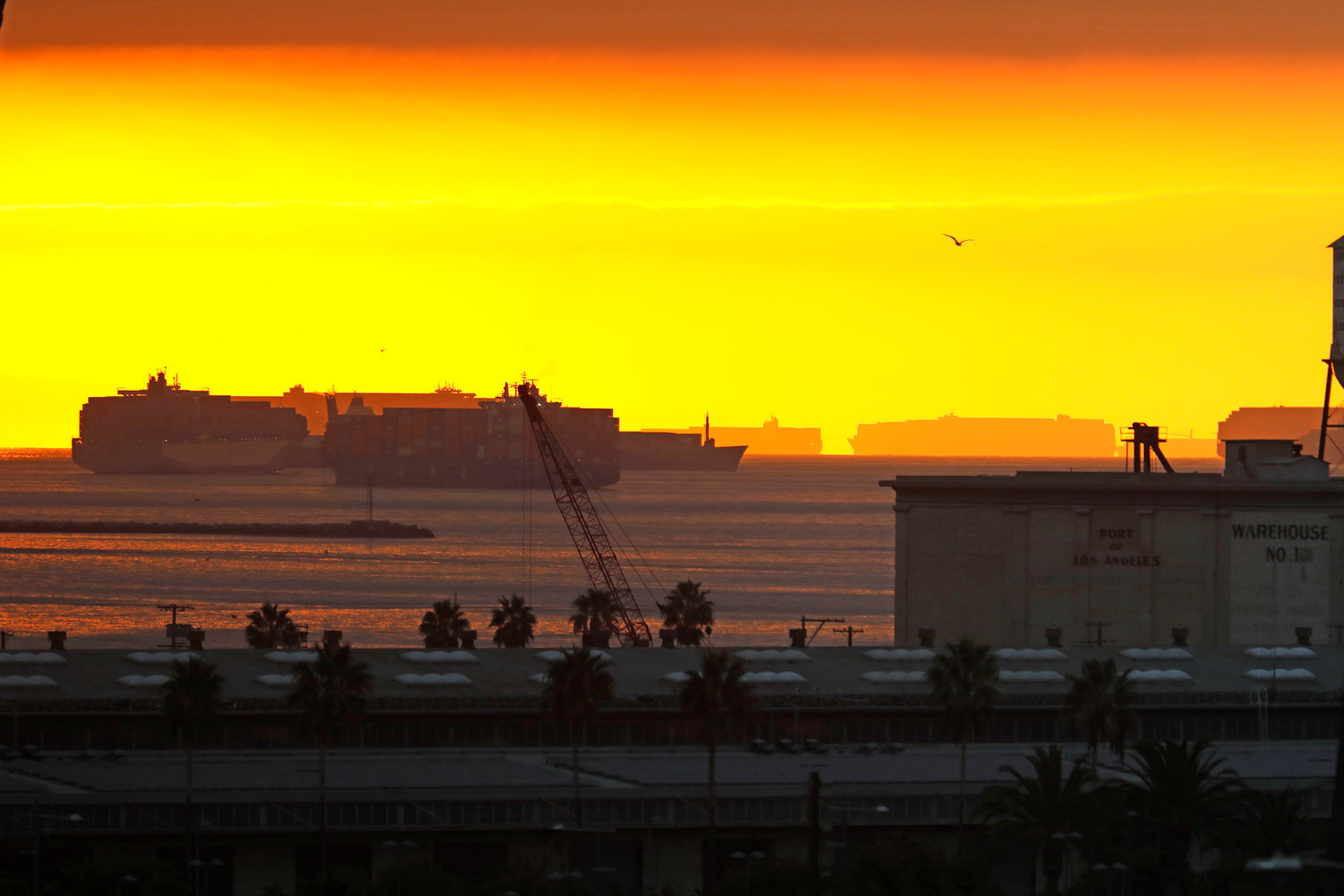 Cargo ships are backed up waiting to unload in the Port of Los Angeles and Port of Long Beach on Nov. 17, 2021. (Carolyn Cole/Los Angeles Times/TNS)