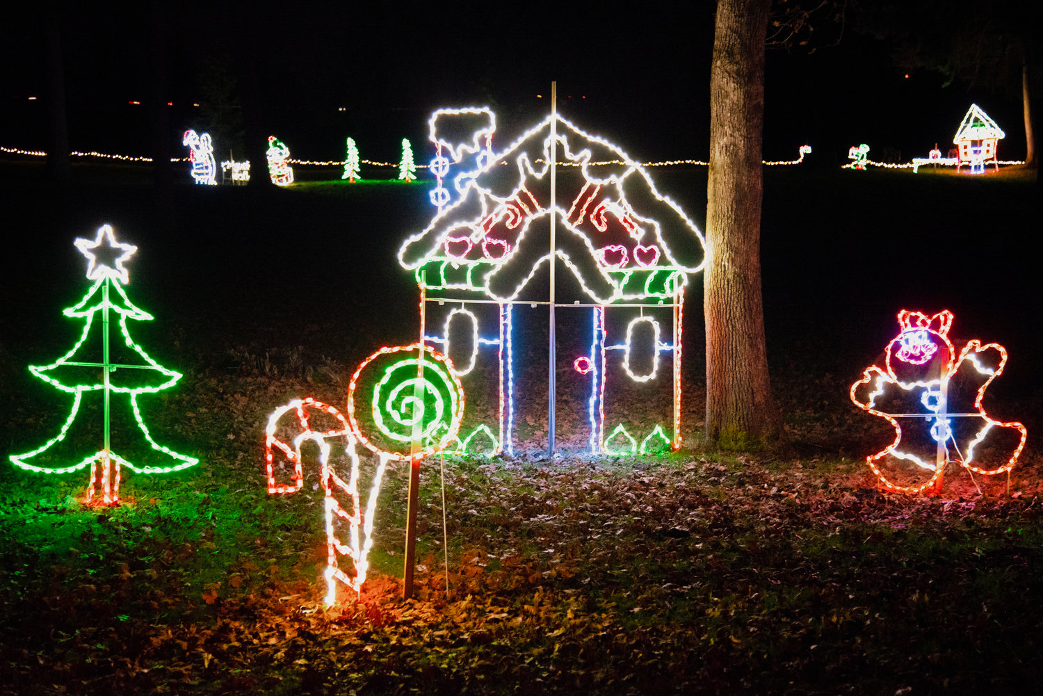 A gingerbread house is illuminated by Christmas Lights at Borst Park in Centralia.