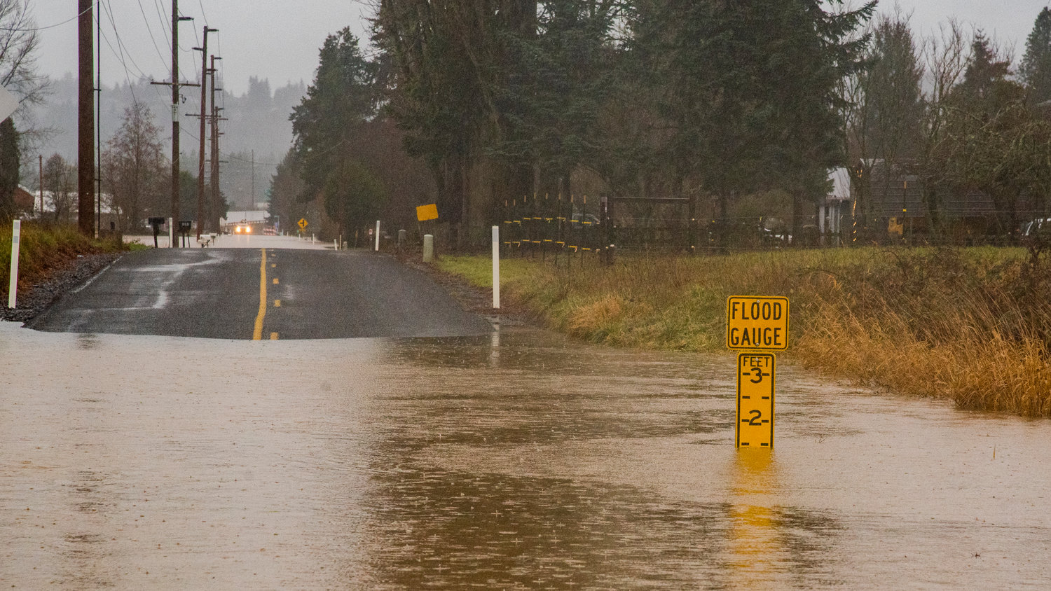 Water rises on a flood gauge along Hamilton Road in Chehalis on Thursday.