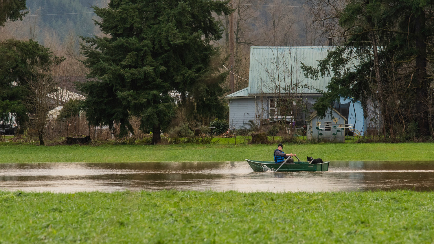 A dog watches from inside a boat as oars propel a vessel and its captain through a flooded field alongside U.S. Highway 12 in Rochester Saturday afternoon.