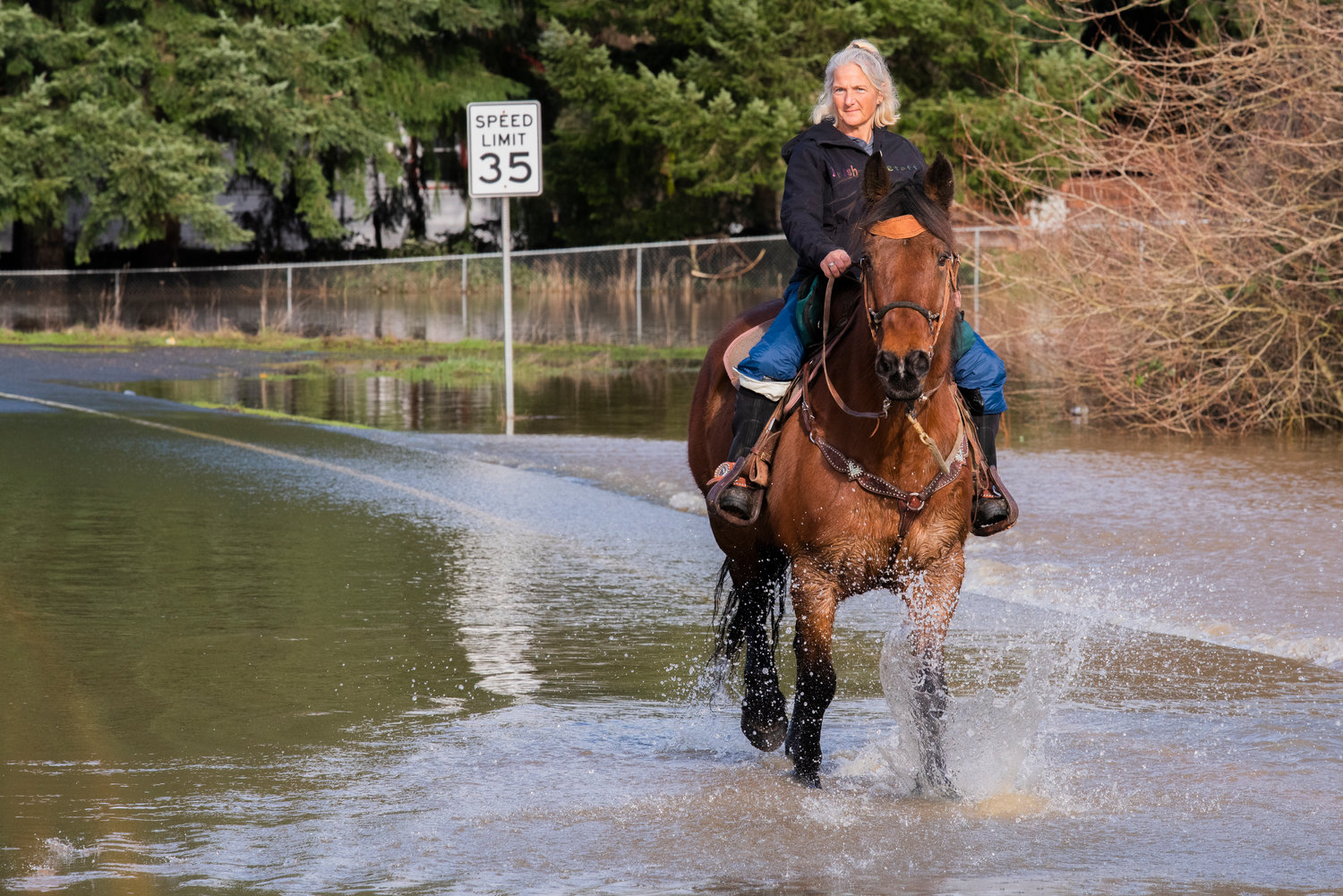 Tricia Ingram rides her horse, Valeria, through flood waters near Moon Road and U.S. Highway 12 in Rochester on Saturday.