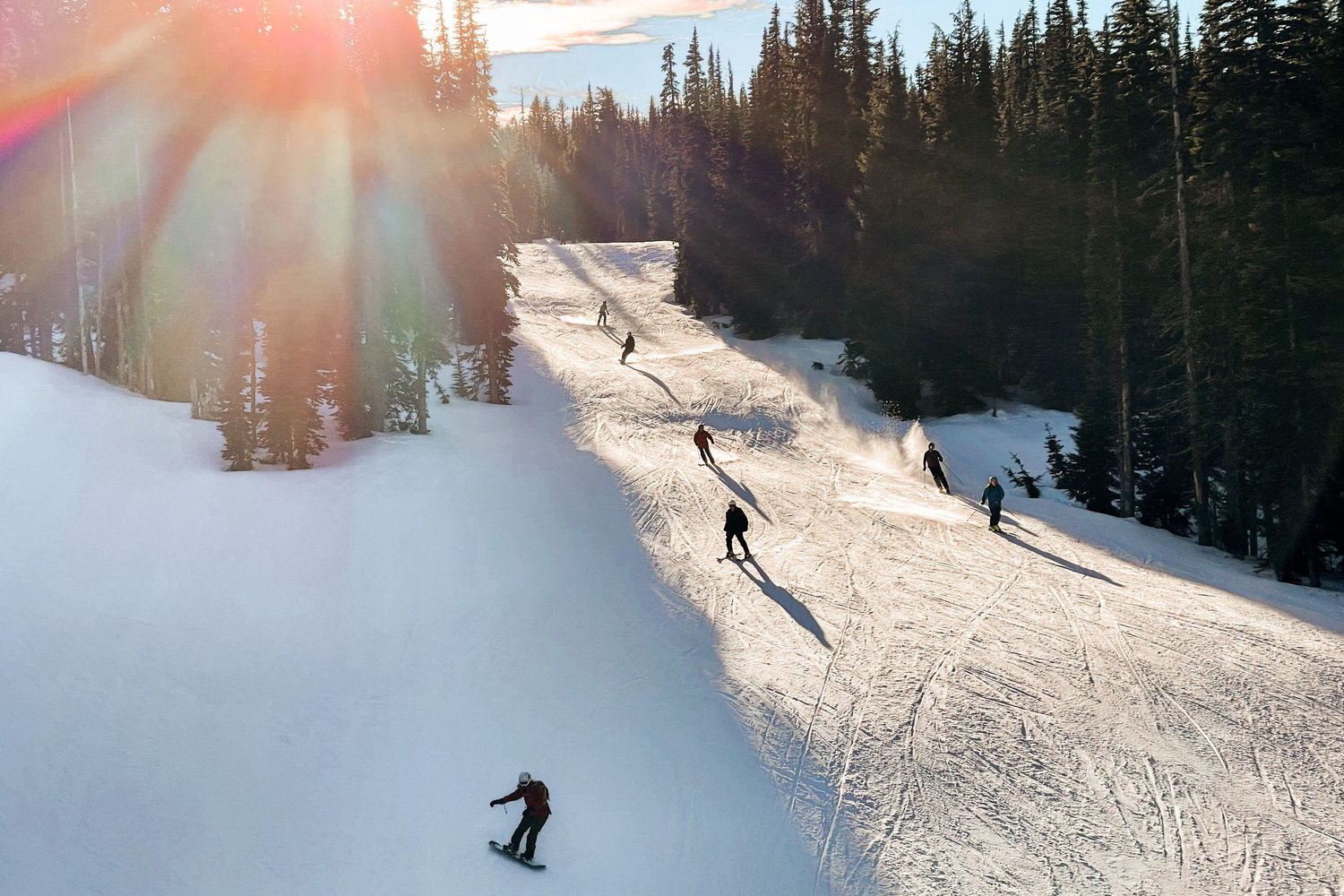 Sunlight shines through trees in the White Pass Ski Area last January.