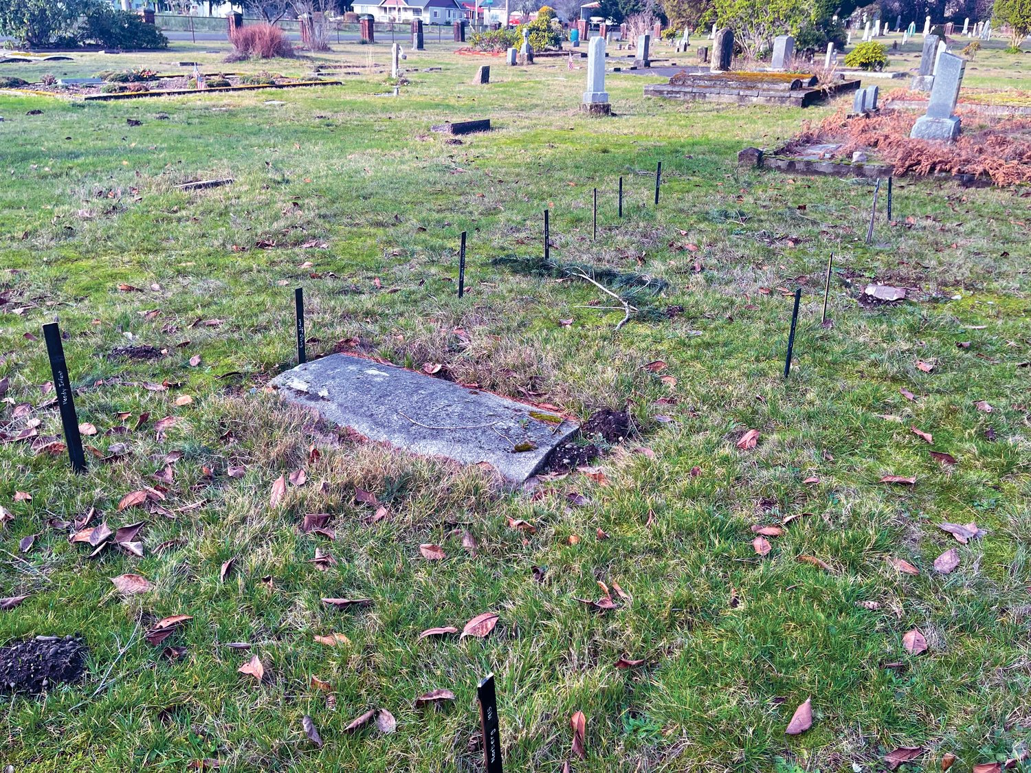 These unmarked graves at Tenino's Forest Grove Cemetery belong to children from a time gone by. Generous community donations have paid for placards to be places on the grave sites.