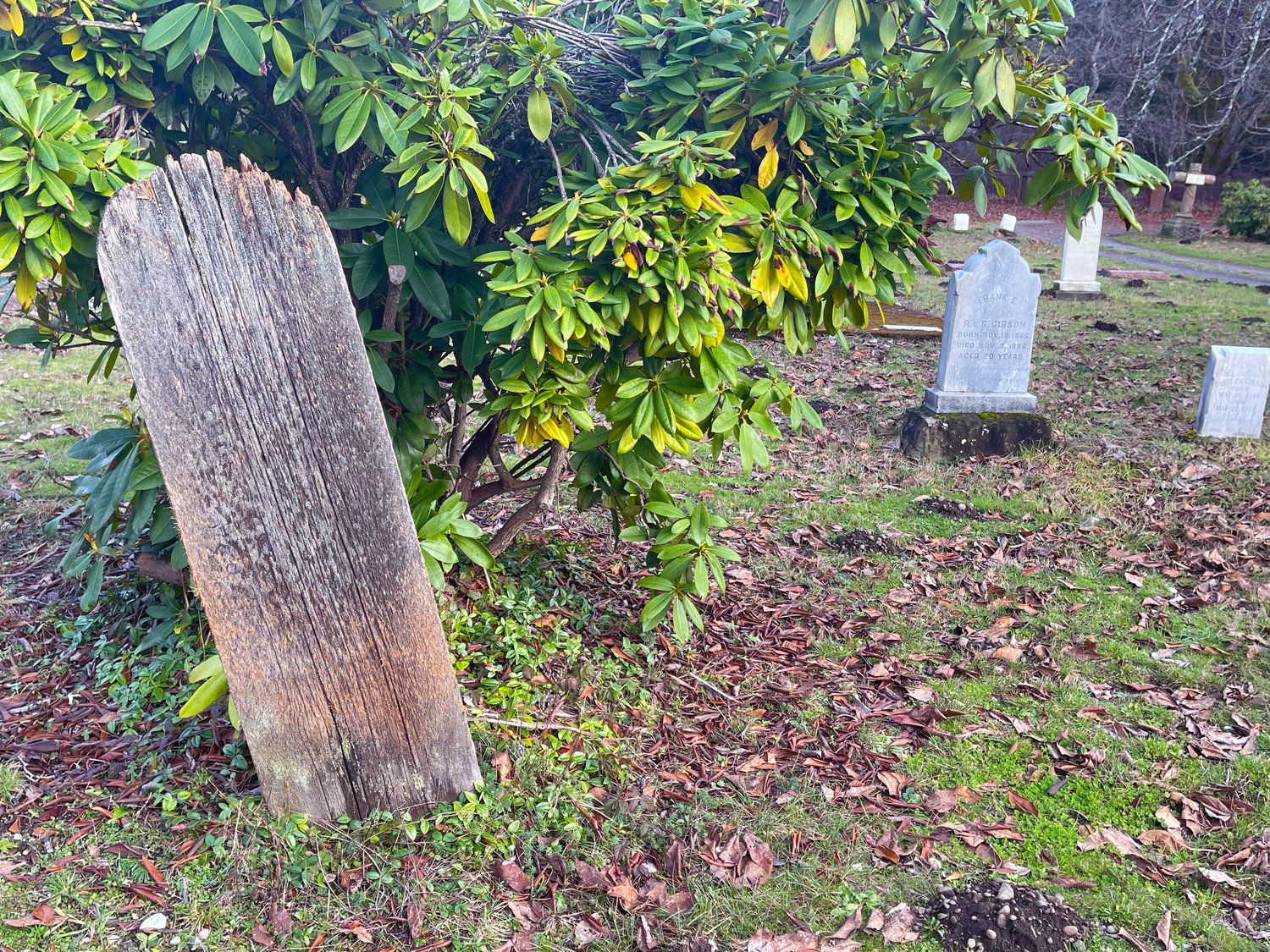 A wooden gravemarker is seen at Tenino's Forest Grove Cemetery.