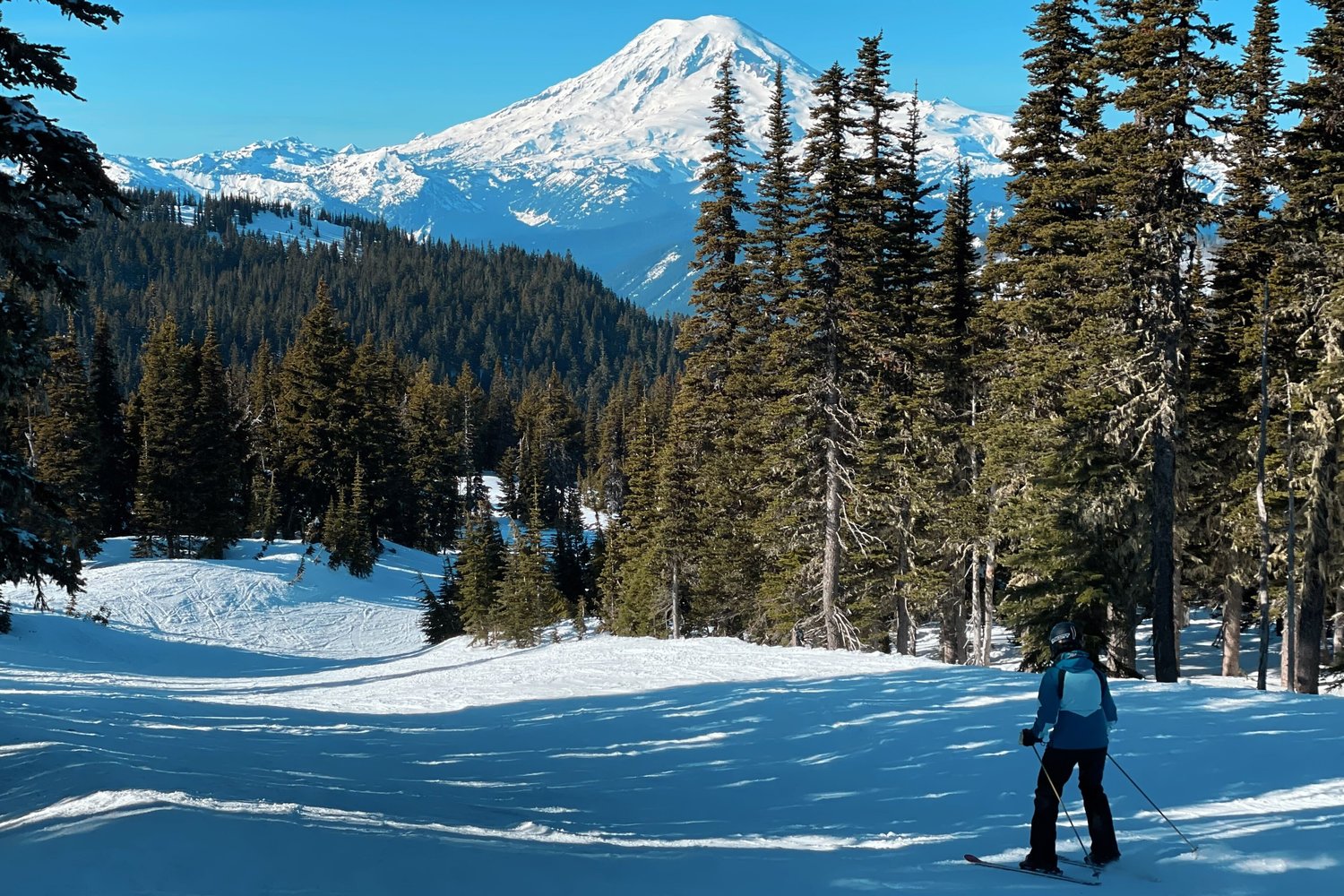 Mount Rainier sets the backdrop as a skier rides at White Pass on Sunday.