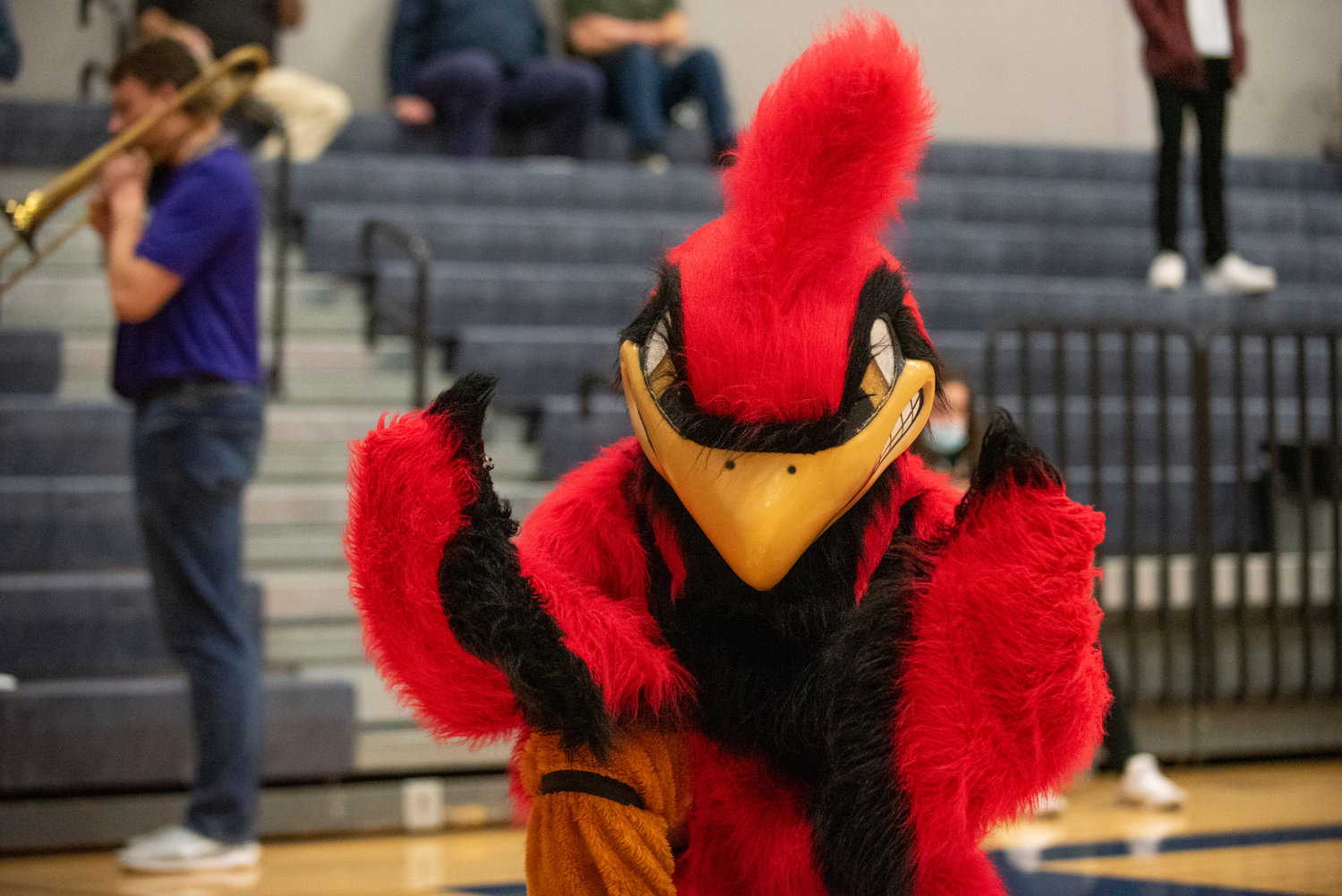 The Winlock Cardinal poses for a photo during halftime of a girls basketball playoff game between Winlock and Morton-White Pass on Feb. 8.