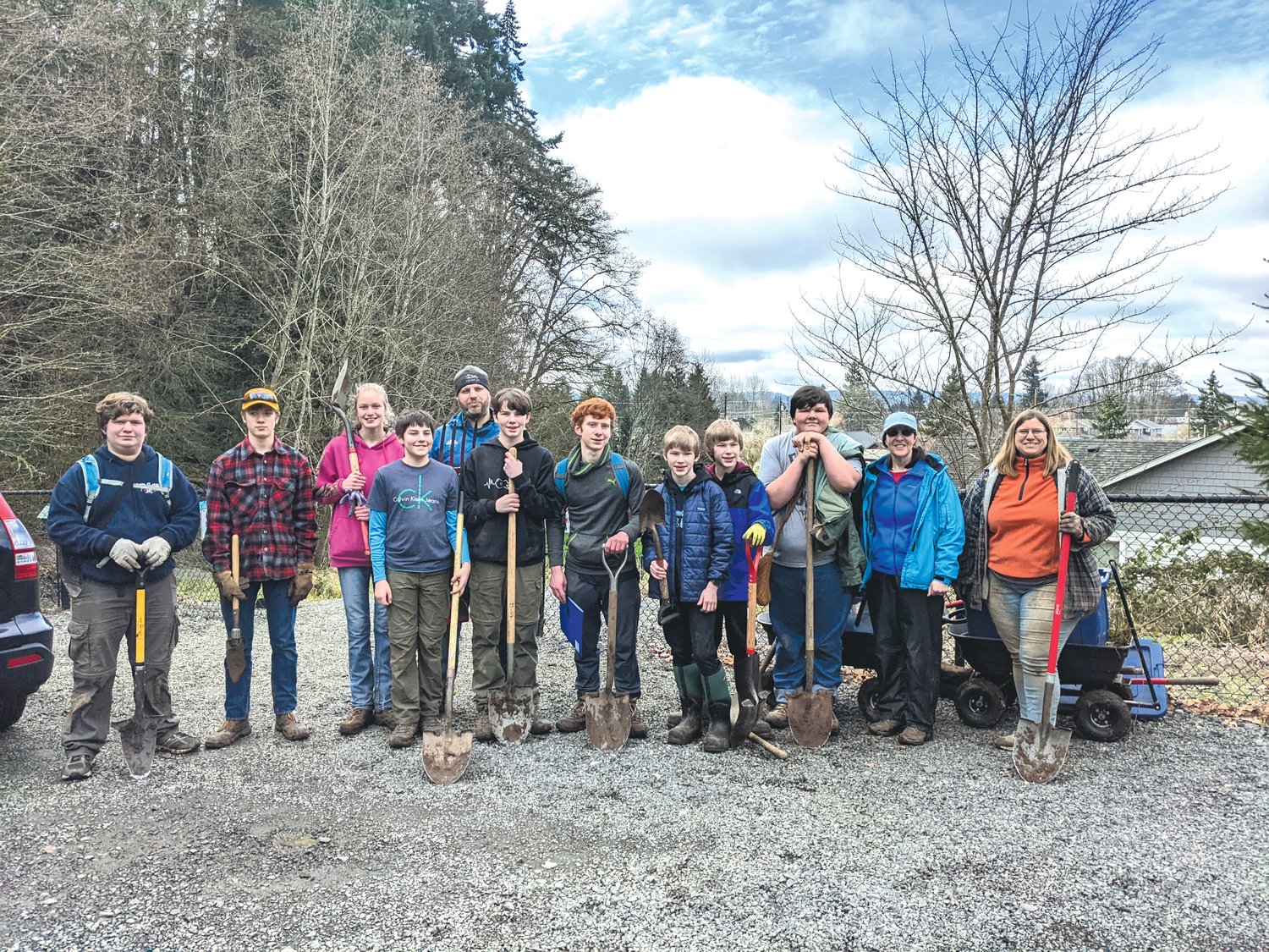 Members of the Boy Scout Troop No. 373, based in Chehalis, help transplant sword ferns and other native plants at the Seminary Hill Natural Area on Jan. 22.